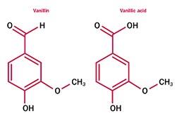 Vanillin: a promising preservation booster