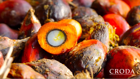 Croda Video Highlights Sustainable Palm Benefits