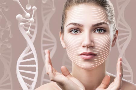 Anti-ageing mechanism analysed with three actives