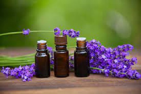 Tea tree oil, lavender oil ‘not endocrine disrupters’
