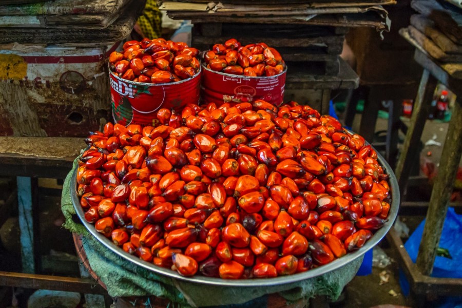 Unilever pilots blockchain scheme to improve palm oil sustainability