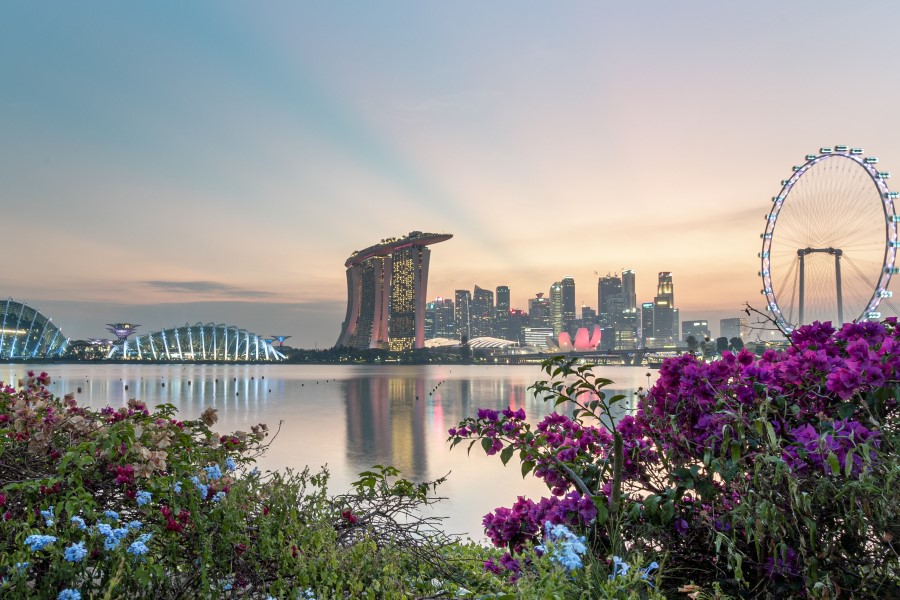 SCS Singapore Suppliers’ Day to return in August as hybrid event