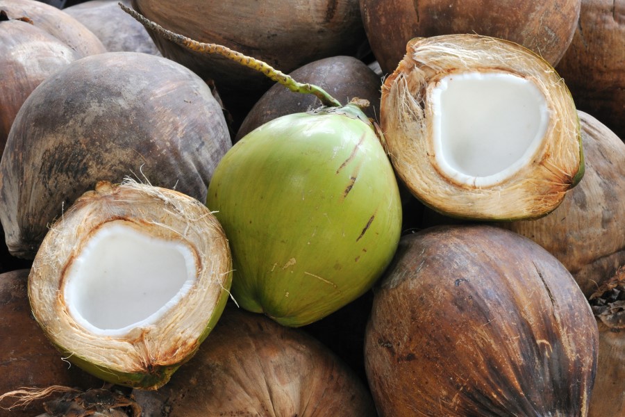BASF claims sustainable coconut oil first after Italy site certification