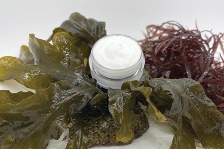 Alginates from seaweed for natural textures