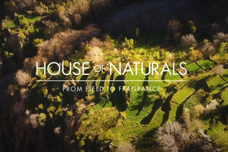 Givaudan builds House of Naturals to develop fragrance expertise