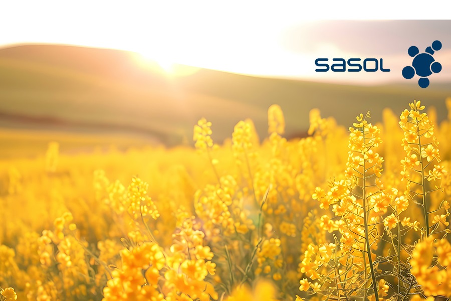 Sasol launches rapeseed oil-based palm alternative