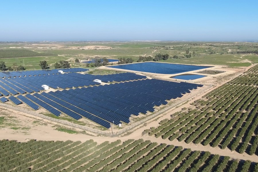 Israel's Jojoba Desert issues larger shipments plea