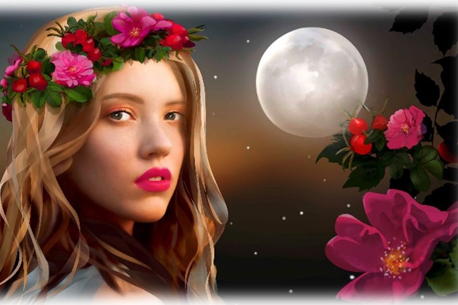 Mibelle makes bed of roses for overnight skin rejuvenation