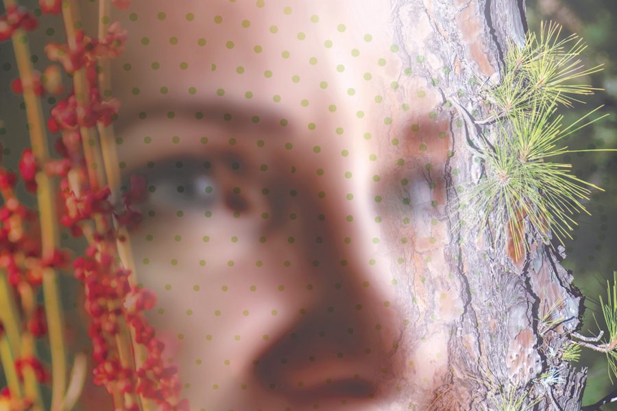 Botanical extract for skinlongevity and resilience
