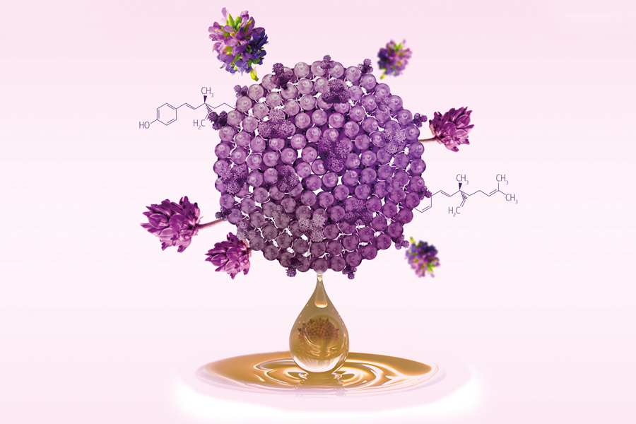 Biomimetic avocado-derived exosomes