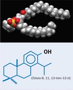 Introducing a new active antimicrobial