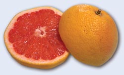 Skin defences boosted by grapefruit extract